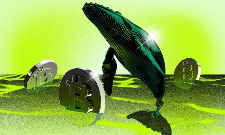 540 millions de dollars de Bitcoin retirés des bourses : impact sur les prix