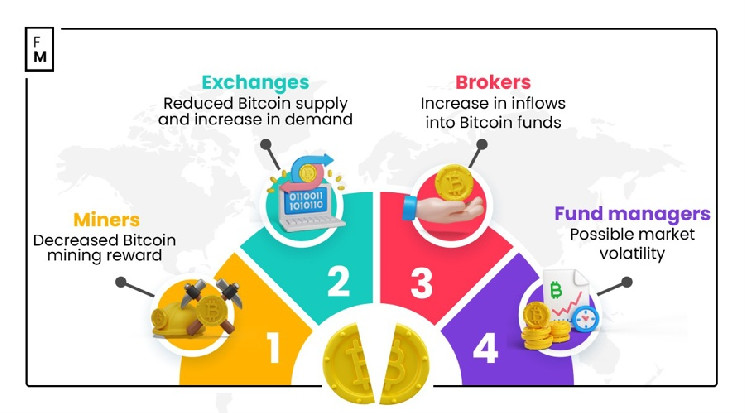 Bitcoin réduit de moitié en 2024 et l’industrie de la cryptographie : à quoi faut-il se méfier ?
