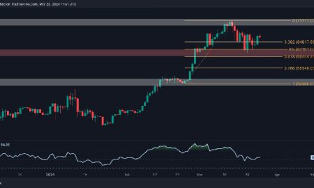 Cette métrique Bitcoin signale la prudence malgré les tentatives de récupération de 67 000 $ : analyse des prix BTC