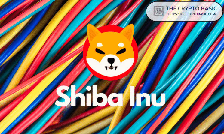 Le responsable de Shiba Inu voit une opportunité de revenu passif avec ce projet SHIB