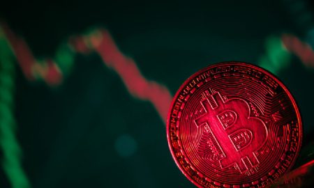 Mimay de Solana est à la tête des NFT alors que le marché du Bitcoin et des crypto-monnaies s'effondre