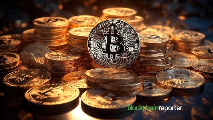 Bitcoin Binary CDD atteint 0,6: Regardez de près l'activité du titulaire à long terme