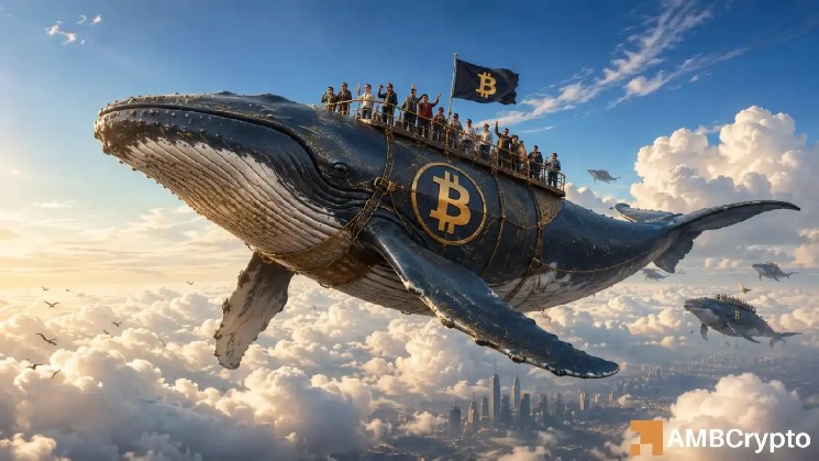 L’activité des baleines Bitcoin atteint son plus haut niveau depuis 9 ...